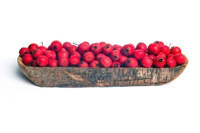 放在木盘子里的红色山楂图片